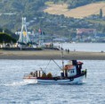 /album/octavo-chiloe/l-736-punta-de-lapa-quellon-jpg/